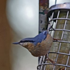 Farm holiday cottages in Wales