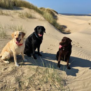 Farm holiday cottages in Wales