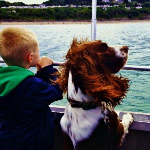 Farm holiday cottages in Wales