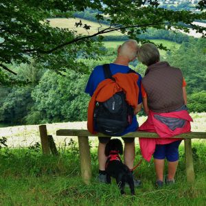 Farm holiday cottages in Wales